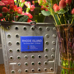Rhode Island The Ocean State Lil Rhody Statistics Souvenir Fridge Magnet