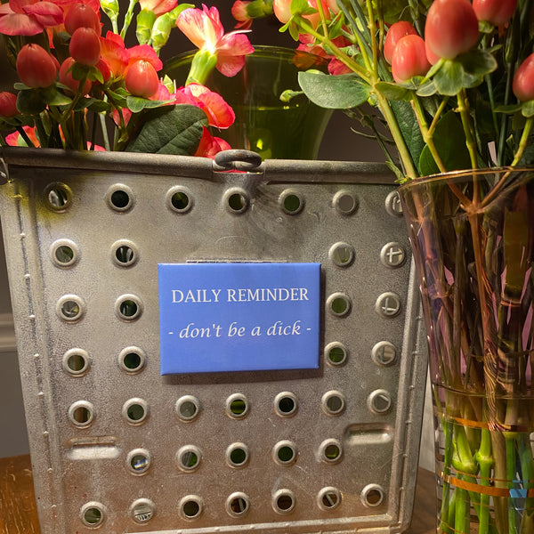 Daily Reminder: Don’t Be a Dick Funny Fridge Magnet