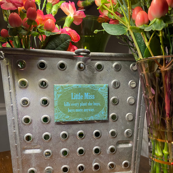 Little Miss Kills Every Plant She Buys, Buys More Anyway Plant Lover Gift Gardening Fridge Magnet
