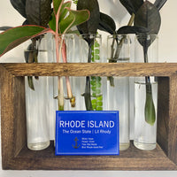 Rhode Island The Ocean State Lil Rhody Statistics Souvenir Fridge Magnet